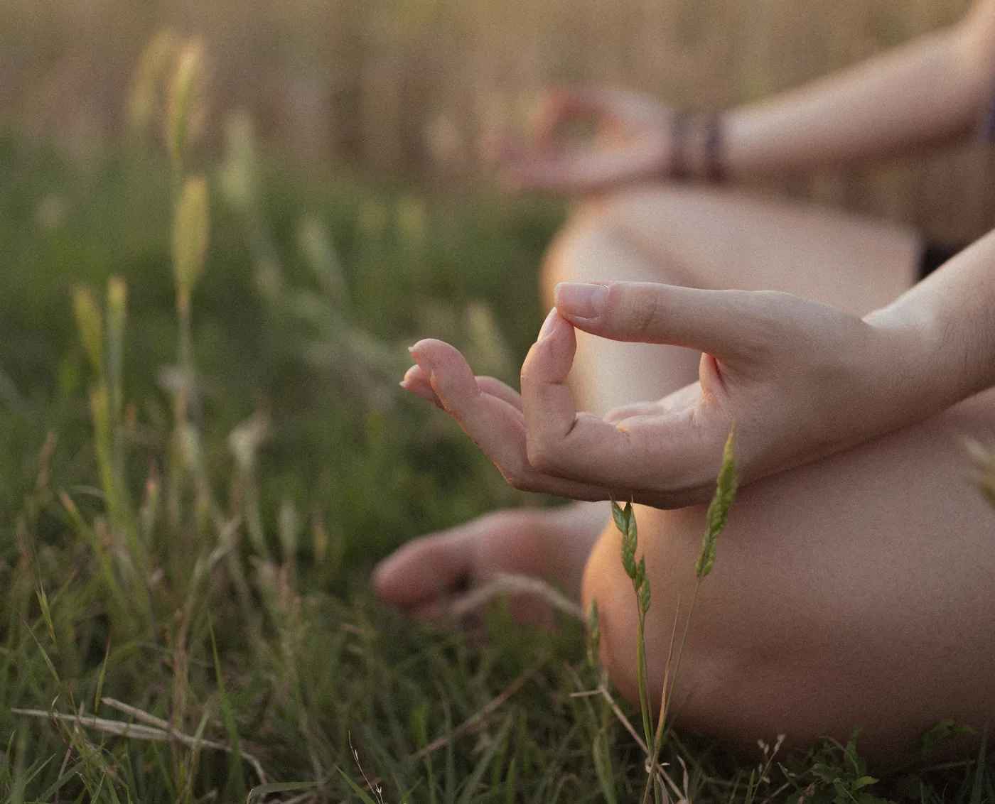 Chin mudra, Virginia Bianchi, meditazione e pranayama